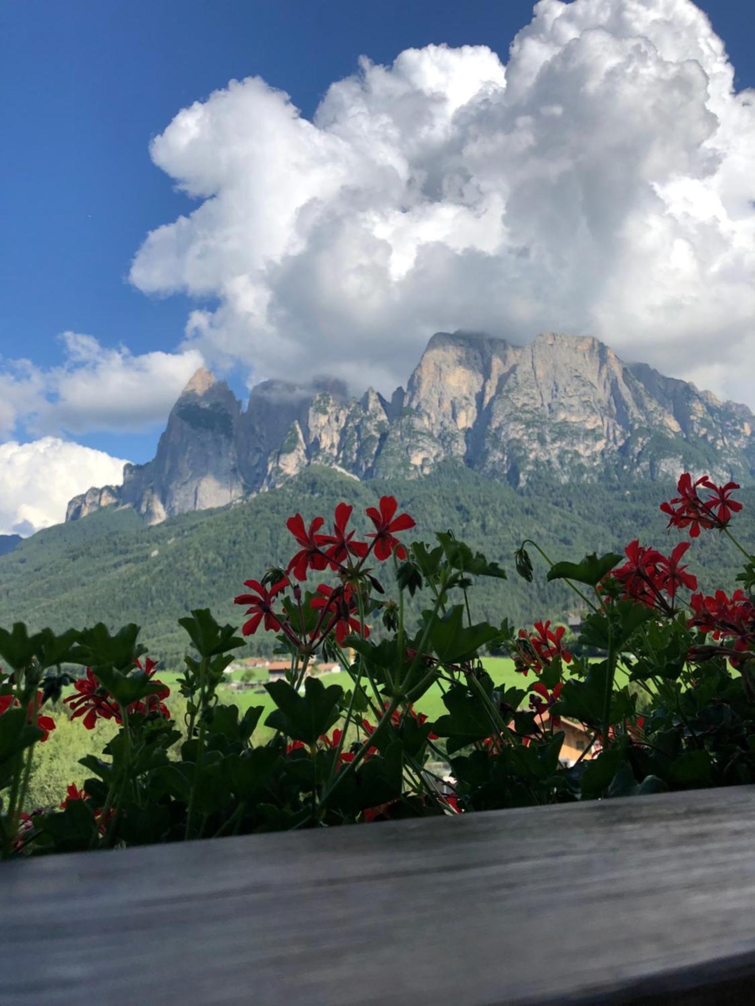Mesnerhof My Paradise Fie allo Sciliar Bagian luar foto