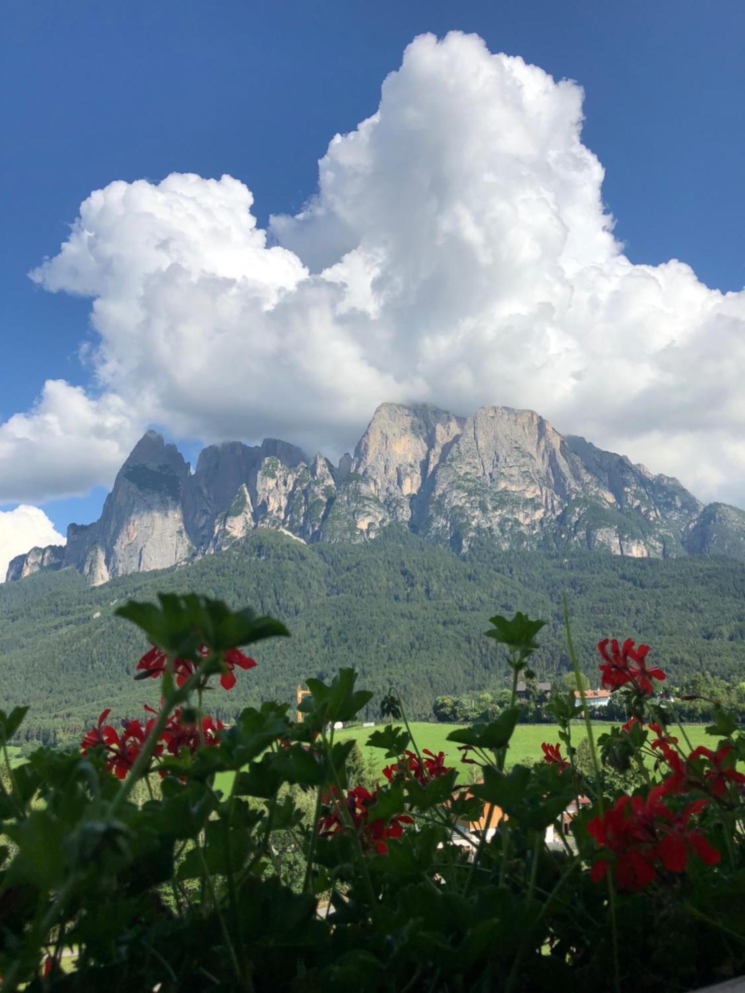 Mesnerhof My Paradise Fie allo Sciliar Bagian luar foto