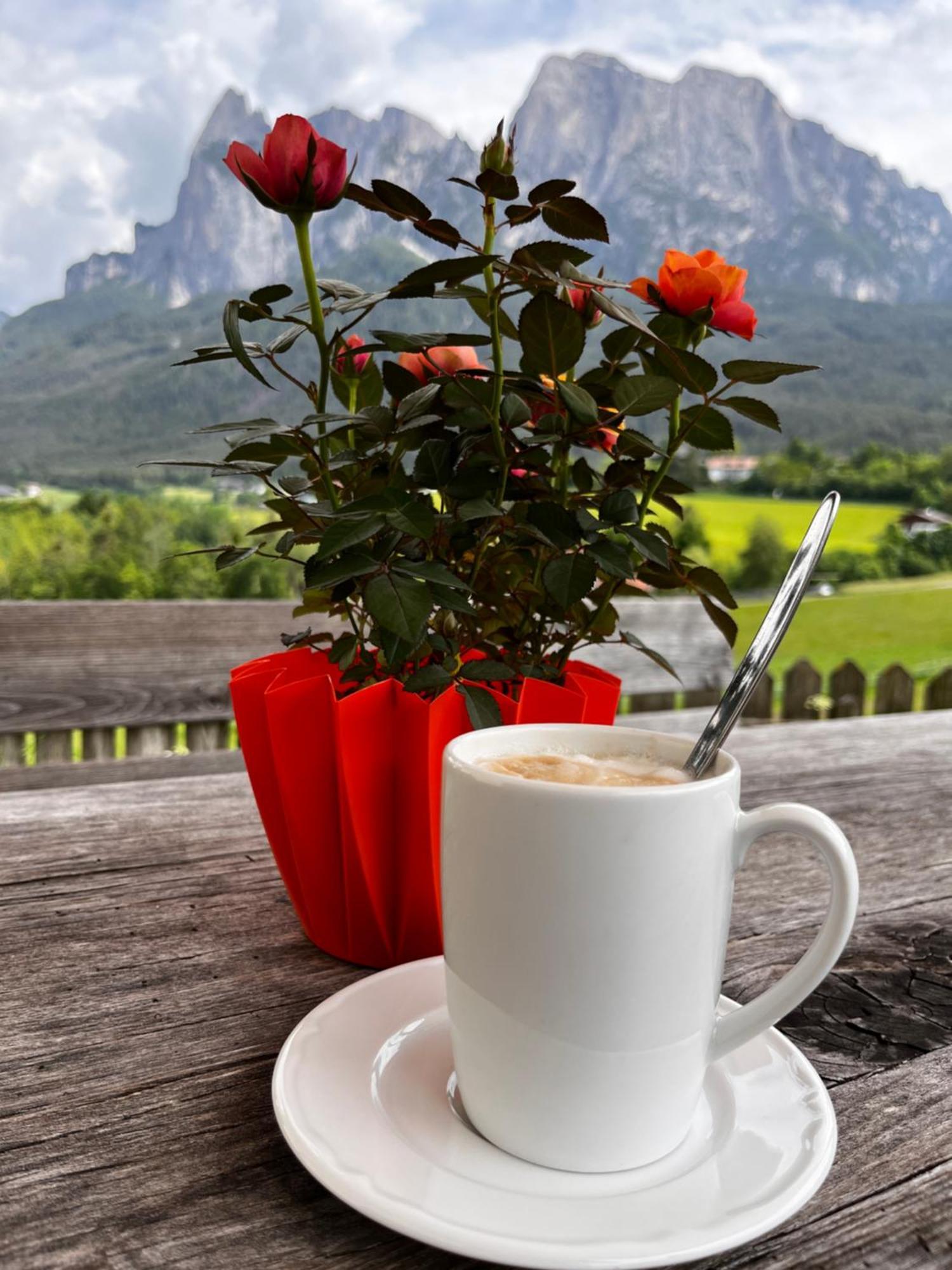 Mesnerhof My Paradise Fie allo Sciliar Bagian luar foto