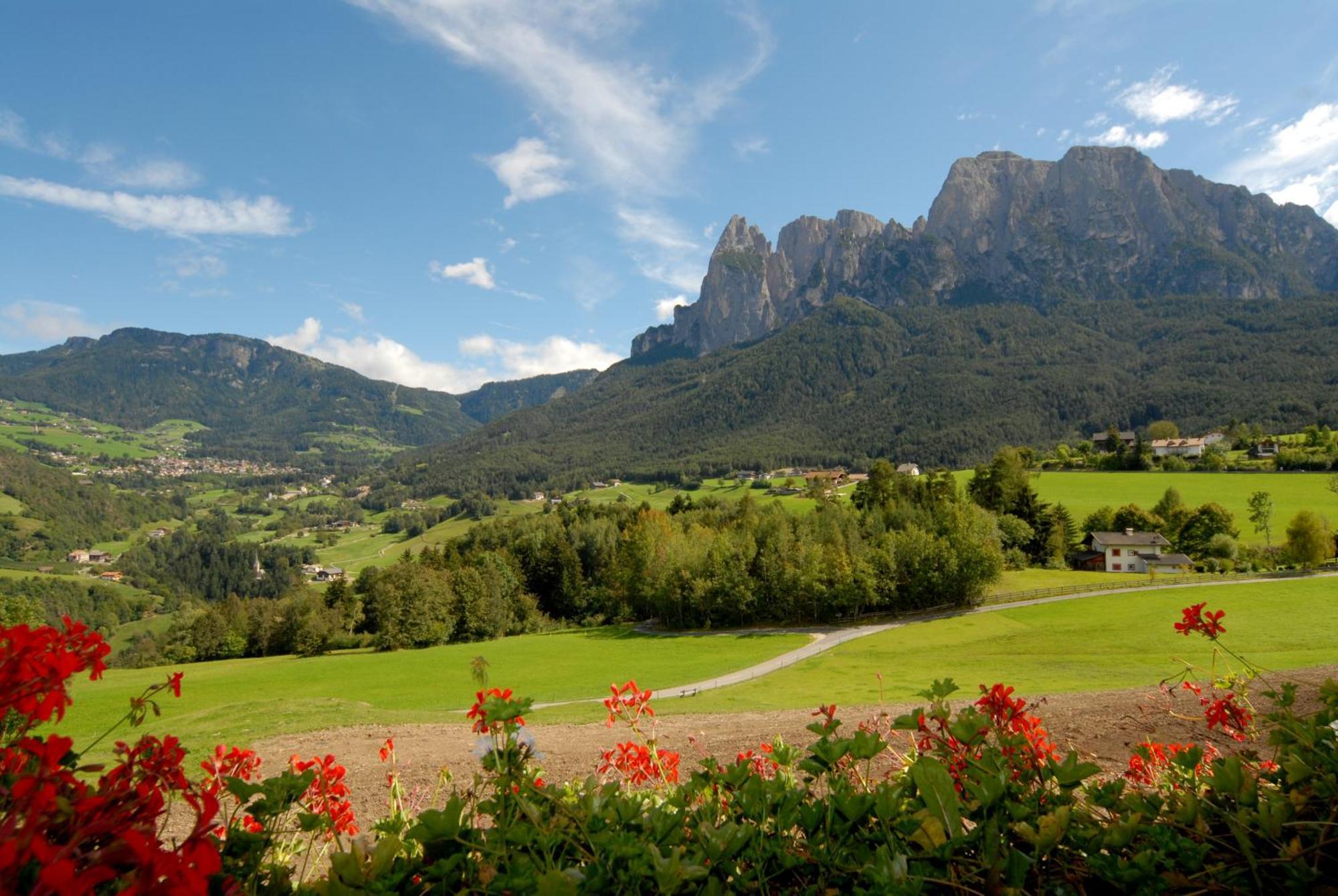 Mesnerhof My Paradise Fie allo Sciliar Bagian luar foto