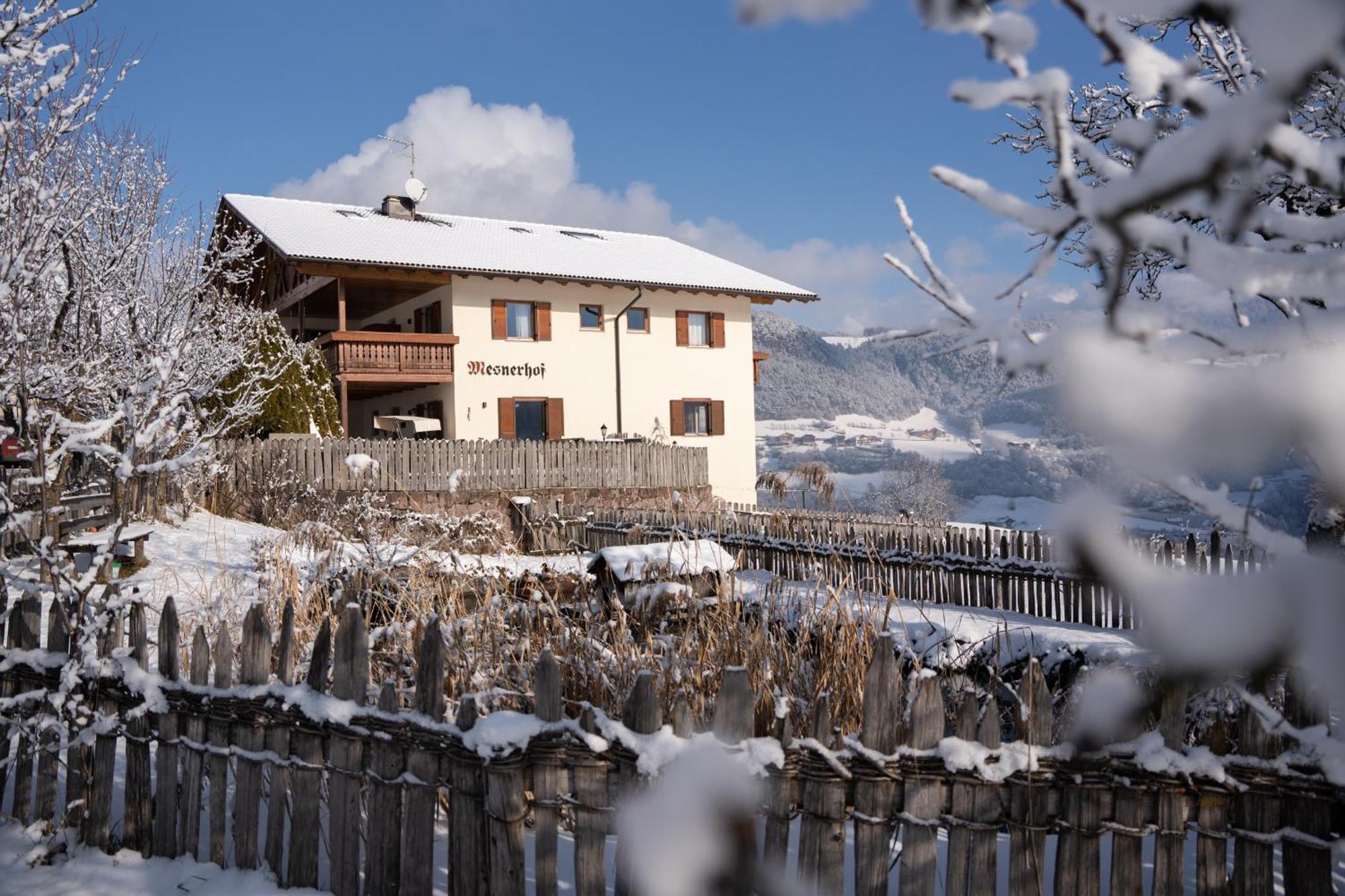 Mesnerhof My Paradise Fie allo Sciliar Bagian luar foto